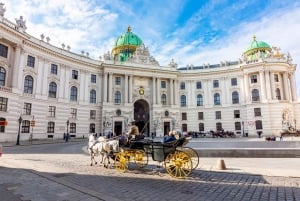 Punti salienti della città di Vienna e gemme nascoste - Tour guidato a piedi