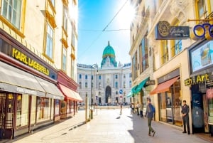 Punti salienti della città di Vienna e gemme nascoste - Tour guidato a piedi