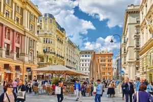 Viena: Lo más destacado de la ciudad Visita guiada en bicicleta
