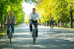 Wien: Byens høydepunkter guidet sykkeltur
