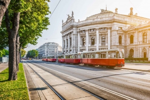 Wien: Byens høydepunkter guidet sykkeltur