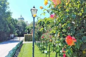 ウィーン：市内ハイライト ガイド付きウォーキング ツアーと旧市街