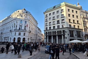 Wenen: Hoogtepunten van de stad - privé wandeltour