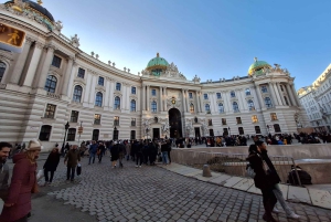 Wenen: Hoogtepunten van de stad - privé wandeltour