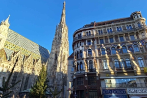 Wenen: Hoogtepunten van de stad - privé wandeltour