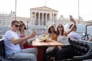 Vienna City Tour and Gourmet Dinner in a Classic Oldtimer