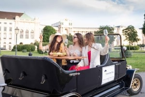 Vienna City Tour and Gourmet Dinner in a Classic Oldtimer