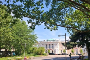 Vienna City Tour: stay-cool tour private group