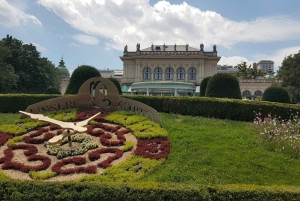 Vienna City Tour: stay-cool tour private group