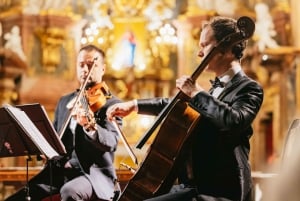 Вена: Классический ансамбль Вены в церкви Святого Петра Билет