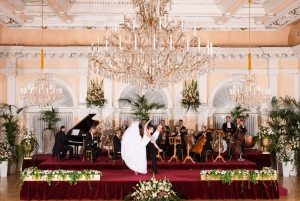Vienna: Classical concert & 1-day sightseeing