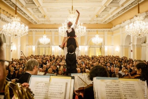 Vienna: Classical concert & 1-day sightseeing