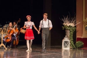 Wien: Klassisk konsert på Eschenbachpalatset