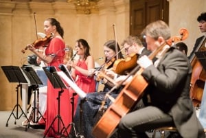 Wiedeń: koncert muzyki klasycznej w pałacu Eschenbach