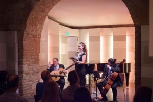 Wien: Klassisk koncert i Mozarthaus med adgang til museet