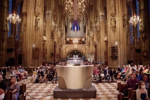Wien: Stephen's Cathedral: Klassisk koncert i Wien