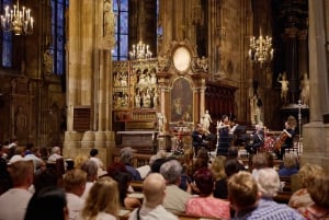 Catedral de San Esteban: concierto de música clásica