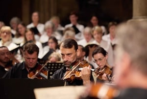 Vienna: Classical Concert at St. Stephen's Cathedral