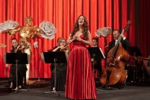 Wien: Klassisk konsert i den historiska Strauss-Hall från 1837