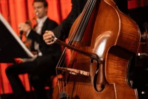 Wien: Klassisk konsert i den historiska Strauss-Hall från 1837