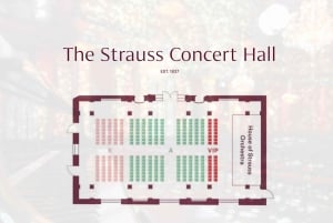 Wien: Klassisk konsert i den historiska Strauss-Hall från 1837