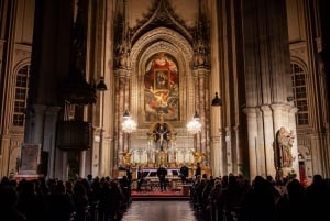 Vienna: Classical Concerts in the Minorite Church