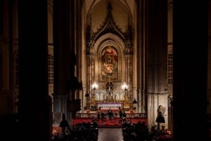 Vienna: Classical Concerts in the Minorite Church