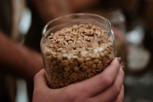 ウィーン：コーヒーハウス文化ツアー（テイスティング付き）