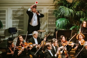 Wien: Koncertbilletter til Vienna Hofburg Orchestra