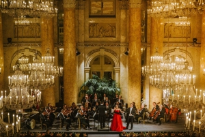 Viena: Entradas para el concierto de la Orquesta del Hofburg de Viena