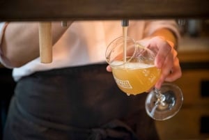 Viena: Cata de Cerveza Artesana con Aperitivos Locales