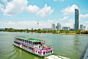 Vienna: Cruise and Schnitzel Tour