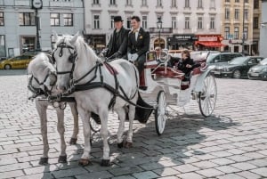 Wiedeń: kulinarna przejażdżka bryczką