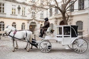 Wien: Culinary Horse-Drawn Carriage Experience: Kulinaarinen hevosvaunukokemus