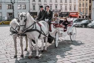 Vienna: Culinary Horse-Drawn Carriage Experience