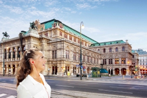 Patrimônio cultural de Viena: Excursão a pé com guia de áudio