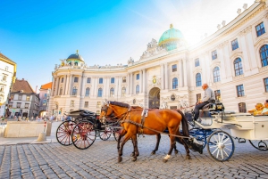 Patrimônio cultural de Viena: Excursão a pé com guia de áudio