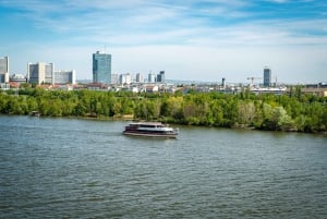Wien: Donau-cruise med valgfrie wienerspesialiteter