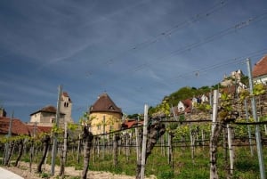 Vienna: Danube Valley 3 Castles and Wine Tasting Tour