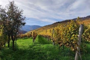 Vienna: Danube Valley 3 Castles and Wine Tasting Tour