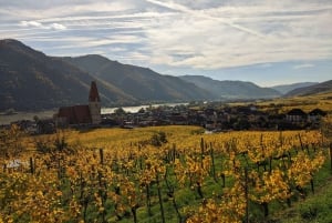 Vienna: Danube Valley 3 Castles and Wine Tasting Tour