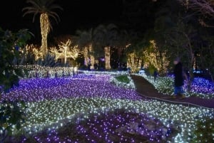 Wien: Dagsutflykt – Slott runt Wien + underjordisk sjö