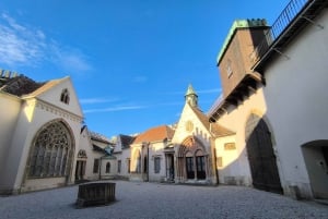 Wien: Dagsutflykt – Slott runt Wien + underjordisk sjö