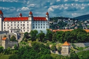 Vienna: Day Trip to Bratislava with a Local