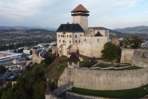 Wiedeń: wycieczka 1-dniowa do zamku Červený Kameň, Čičmany i Trenčín