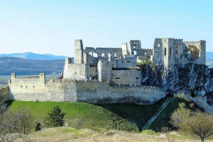 Wiedeń: wycieczka 1-dniowa do zamku Červený Kameň, Čičmany i Trenčín