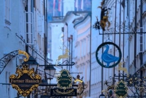 Vienna daytrip: Private transfer to Salzburg and back