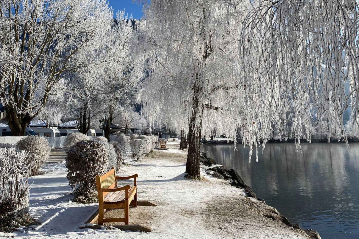 Vienna: Daytrip Zell am See and Kaprun glacier