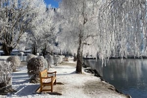 Vienna: Daytrip Zell am See and Kaprun glacier