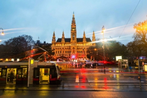 Wien: Hop-On Hop-Off bussikierros: Digitaalinen kaupunkikortti & 24 tunnin Hop-On Hop-Off bussikierros